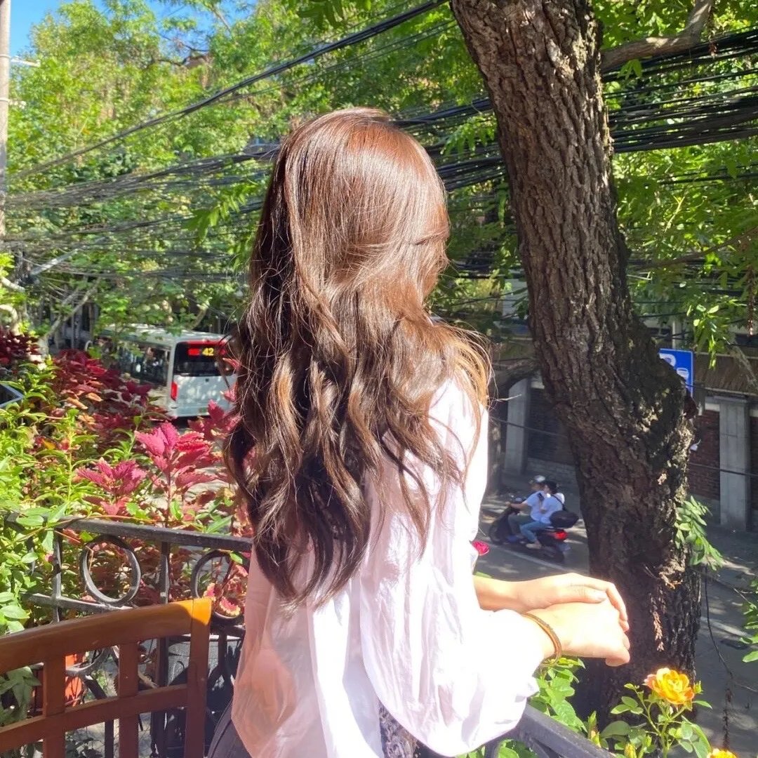 禁酒令